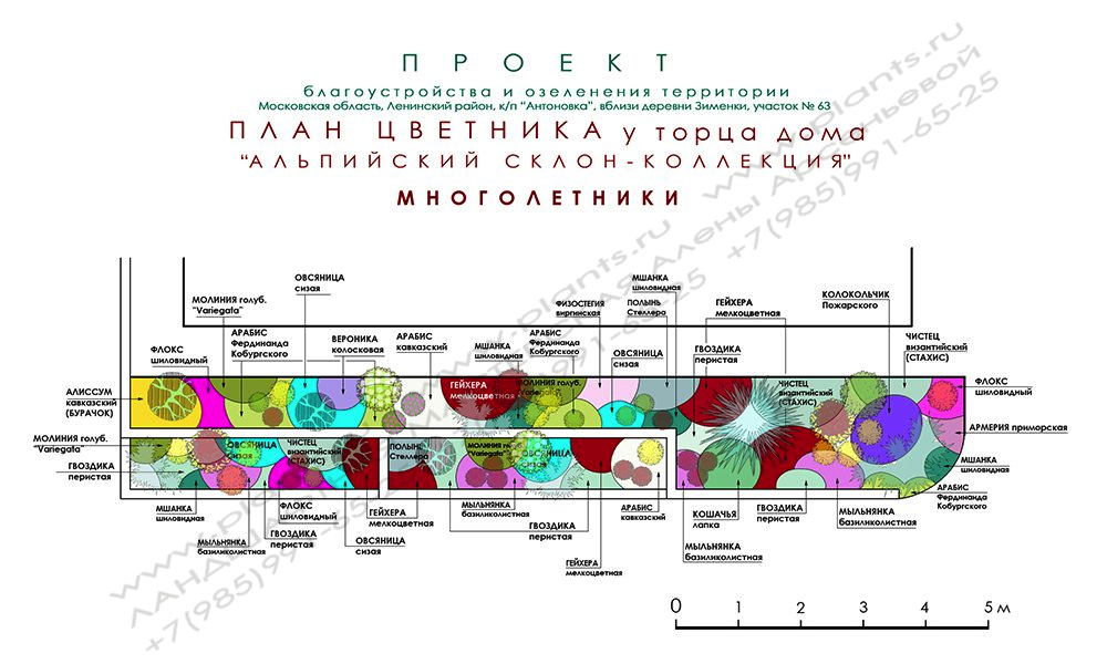 Проект участка 30 соток - подпорные стенки и цветник из многолетников